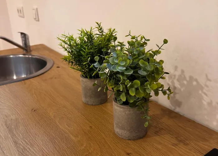 Appartement Luxury Naehe Duesseldorf Wuppertal